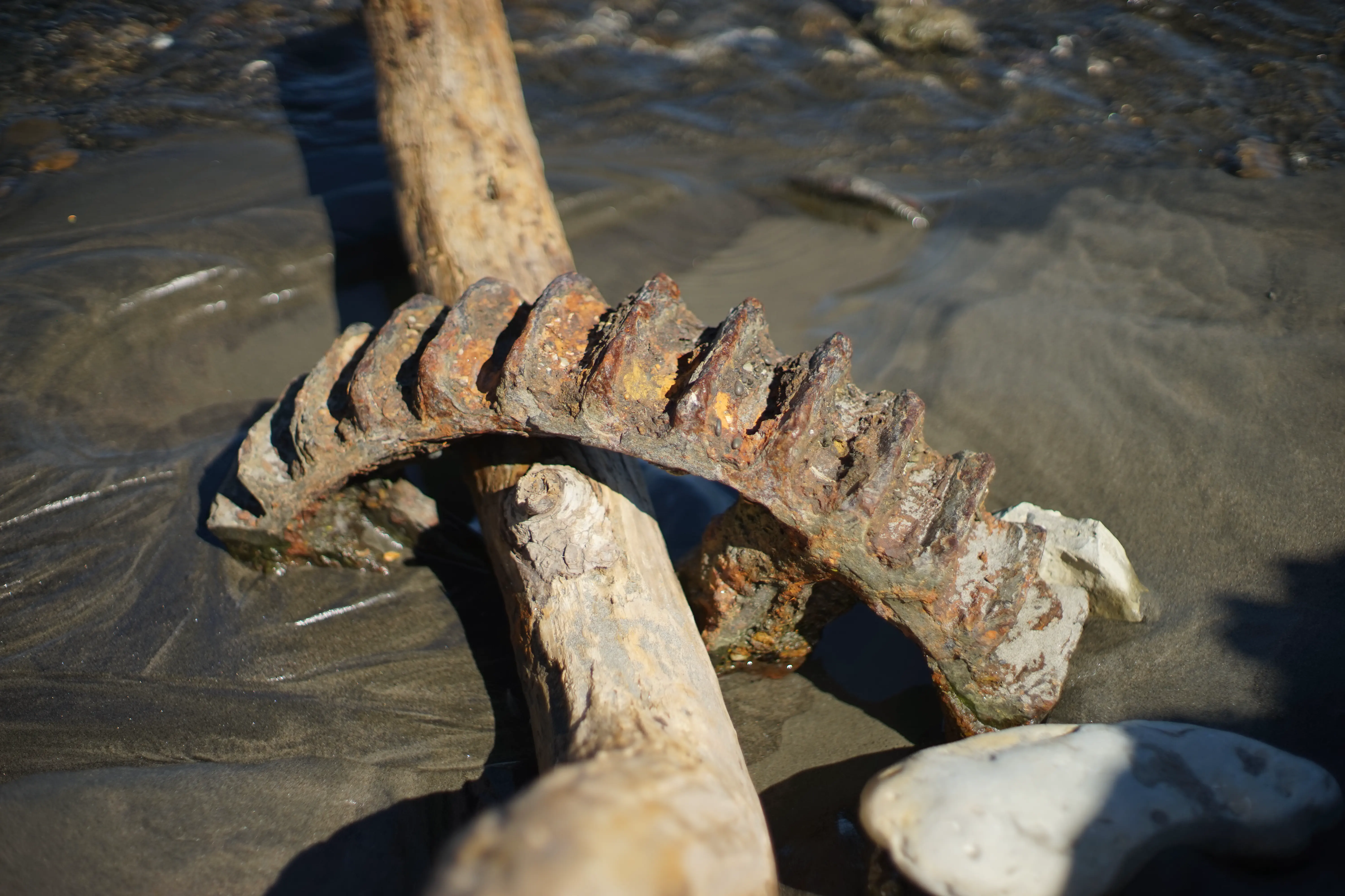 Super TAKUMAR 50mm at f/1.4.