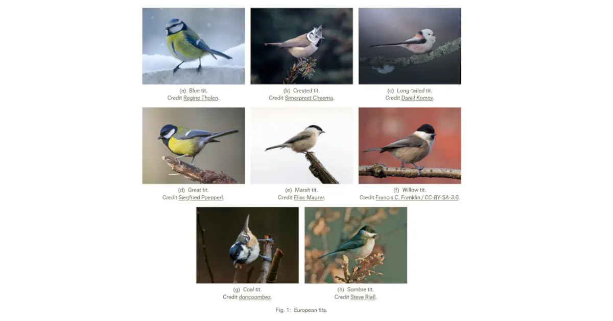 A figure with 8 subfigures, 3 per row, and 2 in the last row. The subfigures in the last row are centred.